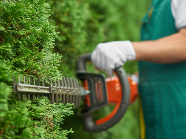Gardening